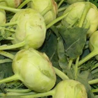 Kohlrabi
