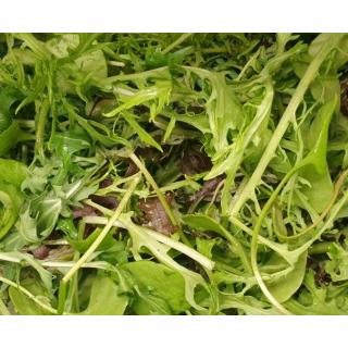 Schnittsalat-Mix