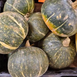 Kürbiszeit - Hokkaidokürbis grün