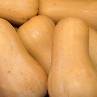 Kürbiszeit - Butternutkürbis
