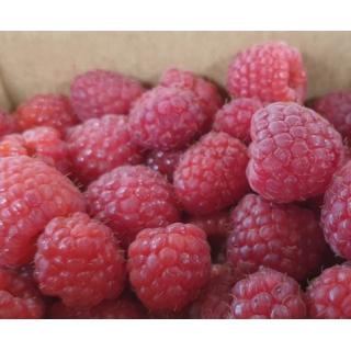 Himbeeren ca.125g [kg-Preis]