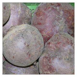 Rote Bete