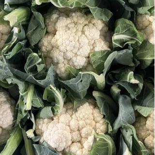 Blumenkohl