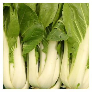 Pak Choi