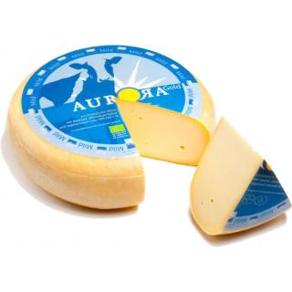 Gouda Jung