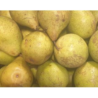 Birne Alexander Lucas