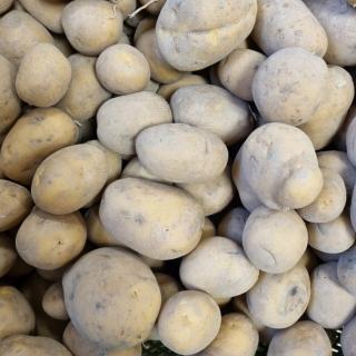 Kartoffel Almonda fk