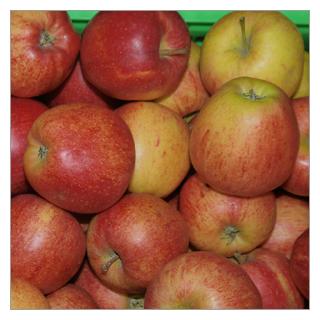 Apfel Pilot