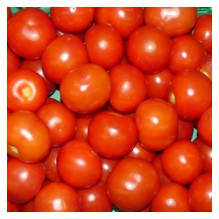 Tomate Aromasorte Camparai