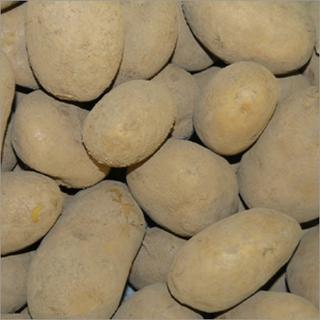 Kartoffel Markies mk