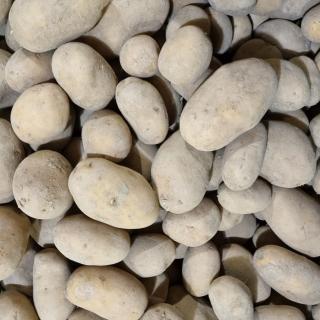 Kartoffel Bernina fk