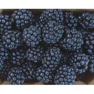 Brombeeren ca.125g [kg-Preis]