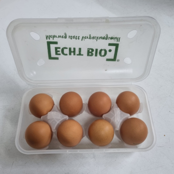 Eier in 8er Pfand-Mehrwegbox – Größe S