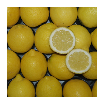 Zitrone Fino Spanien