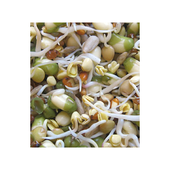 Gourmet- Mischung Sprossen Deutschland