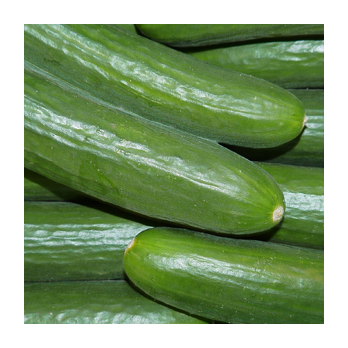 Minigurke
