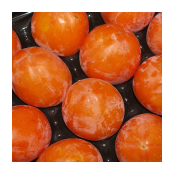 Kaki Rojo Brilliante Spanien