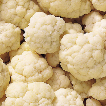 Blumenkohl