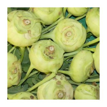 Kohlrabi Deutschland