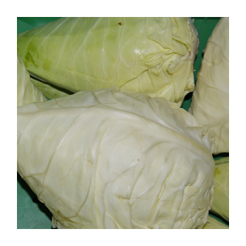 Spitzkohl -neue Ernte- [Stück]
