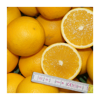 Orange Valencia 3-6 Griechenland
