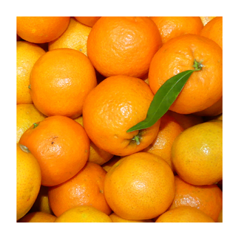 Satsuma 1-4 Griechenland