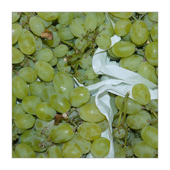 Traube weiß Italia Italien