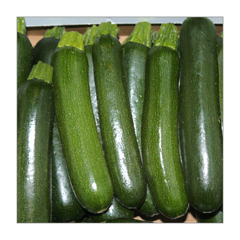 Zucchini Italien