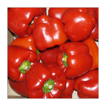 Paprika rot Spanien