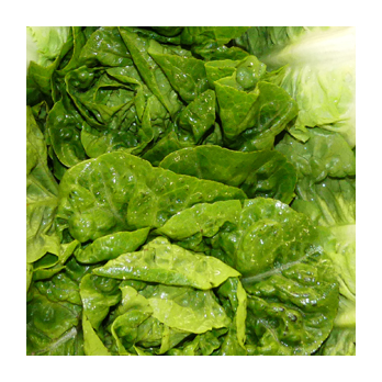 Auberginen-Mix