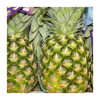 Ananas Extra Sweet Costa Rica