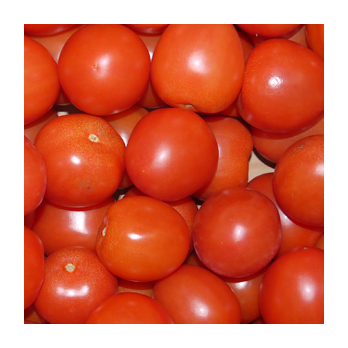 Tomaten - Eiertomate Spanien
