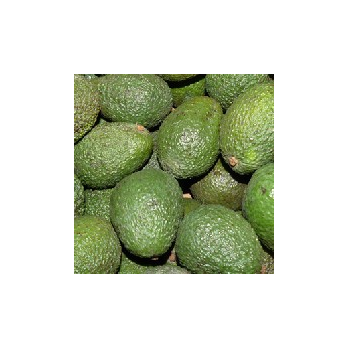 Miniavocado Hass Peru