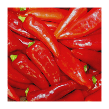 Paprika rot - Spitzpaprika - Griechenland