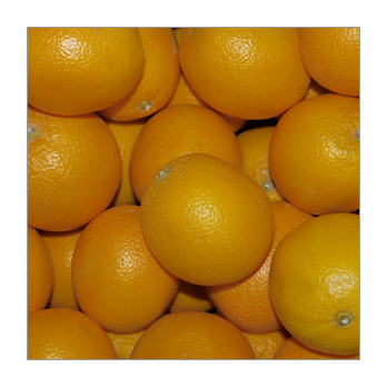 Orange Navel 2-4 Spanien mittelgroß