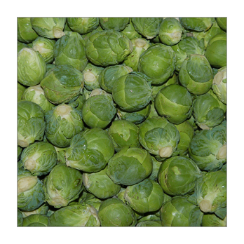 Rosenkohl Frankreich