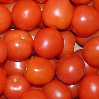 Tomate rund