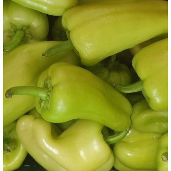 Paprika gelb spitz