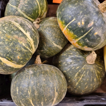 Kürbiszeit - Hokkaidokürbis grün