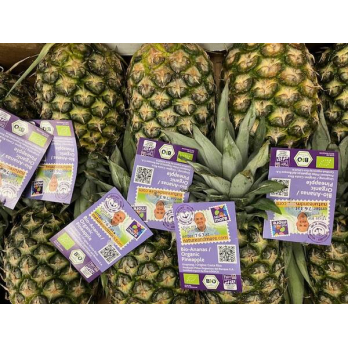 Ananas Extra Sweet