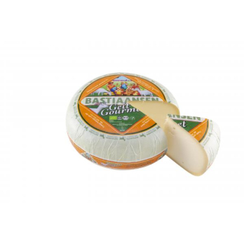 Ziegengouda jung