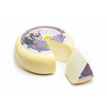Schafgouda jung
