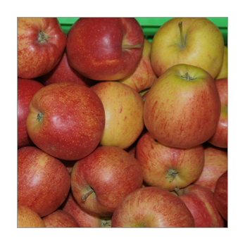 Apfel Pilot
