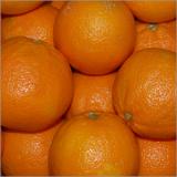 Orangen Navelina 2-4 Spanien mittelgroß bis groß