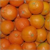 Clementinen 2-3 (eher groß) Italien