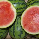 Mini Wassermelone