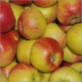 Apfel Topaz