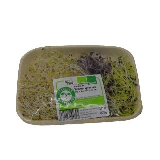 Berliner Sommersprossen Deutschland