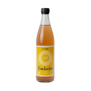 Kombucha Frucht 0,5l