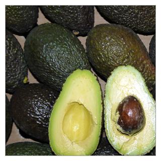 Avocado Hass Spanien [Stück]